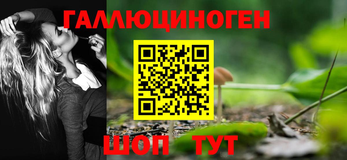 Псилоцибиновые грибы ЛСД Лысьва