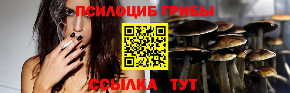 Лысьва  Галлюциногенные грибы GOLDEN TEACHER  Галлюциногенные грибы Magic Shrooms  хочу наркоту  Вход с VPN 